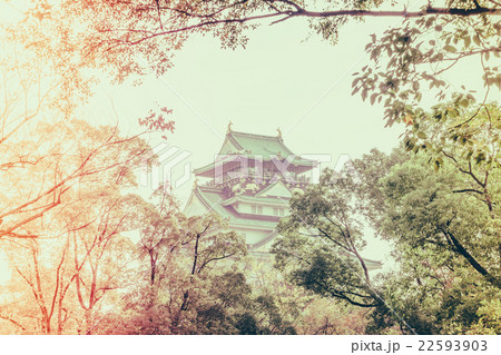 Osaka castle in Osaka Japan ( Filtered image processed vintage effect. ) 22593903
