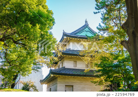 Beautiful Imperial Palace in Tokyo, japan 22594769
