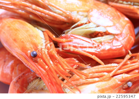 茹でたホッカイシマエビ♪ 茹でたホッカイシマエビ♪ 22595347