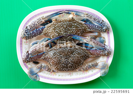 horse crab on green blackground 22595691