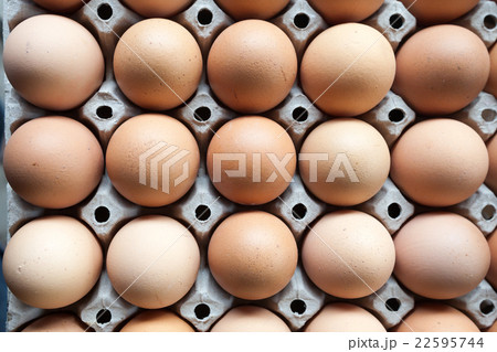 Eggs in paper tray Eggs in paper tray 22595744