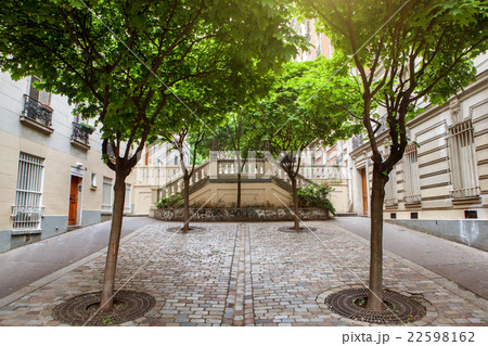 green trees on montmartre street in Paris, 22598162
