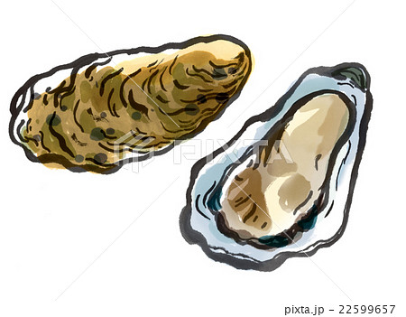 無料イラスト画像 これまでで最高の牡蠣 イラスト フリー