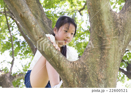 木登りをする女の子 小学3年生 屋外 緑の写真素材