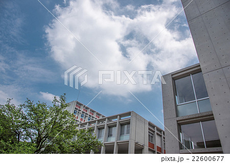 大学の教室棟 新緑と青空 大学の教室棟 新緑と青空 22600677