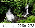 竜頭ノ滝（Ryuzu Waterfall）　新緑 22601278