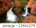竜頭ノ滝（Ryuzu Waterfall）　秋　紅葉 22601279