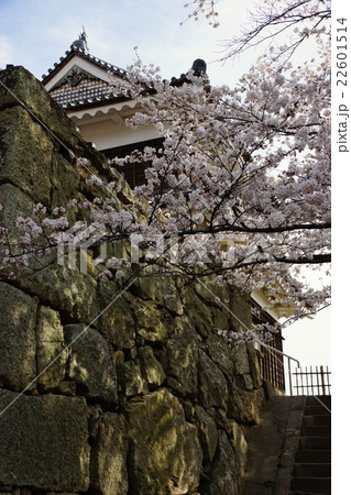 真田丸元城 桜咲く春の信州上田城(真田城) 真田丸元城 桜咲く春の信州上田城(真田城) 22601514