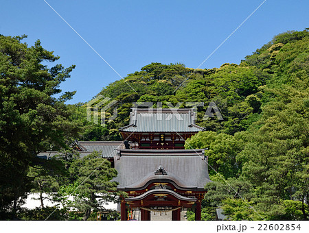 鎌倉　鶴岡八幡宮　本宮と舞殿　重要文化財 22602854
