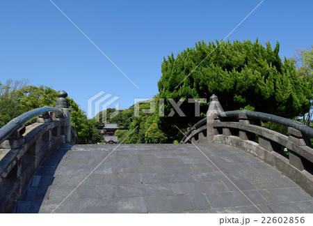 鎌倉市 鶴岡八幡宮 太鼓橋の写真素材