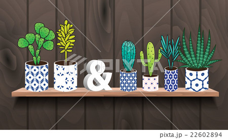 Succulents and cactus plants in pots. 22602894