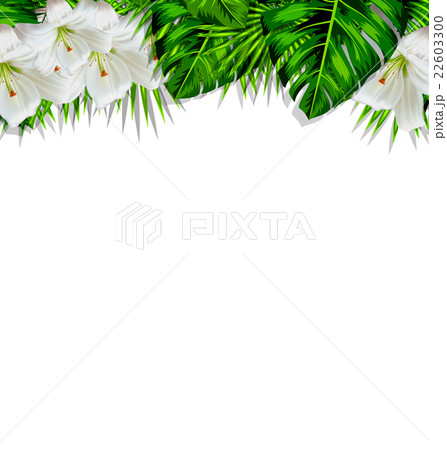 Frame branch tropical leaves and white flowers 22603300