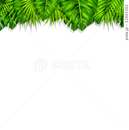Frame Tropical Leaves Summer Background Frame Tropical Leaves Summer Background 22603302