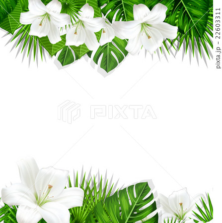 Frame branch tropical leaves and white flowers Frame branch tropical leaves and white flowers 22603311
