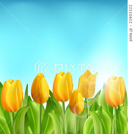 Nature Floral Background with Tulips Flowers and 22603322