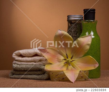 Spa concept Spa concept 22603694