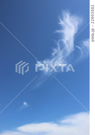 初夏の青空と白い雲 初夏の青空と白い雲 22603882