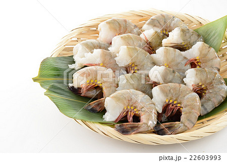 ブラックタイガー ブラックタイガー 22603993