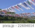 泳げ！鯉のぼり 22604014