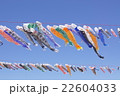 こいのぼり 22604033