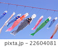 鯉のぼりの家族 22604081