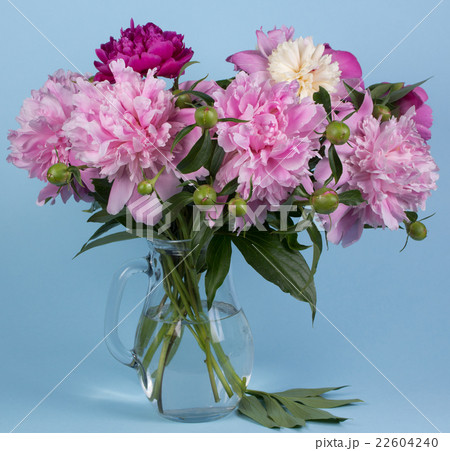 bouquet of peonies 22604240