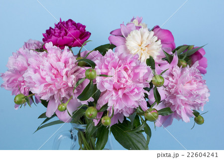bouquet of peonies 22604241