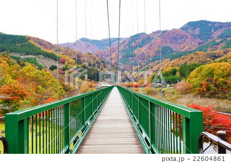もみじ谷大吊橋 もみじ谷大吊橋 22604861