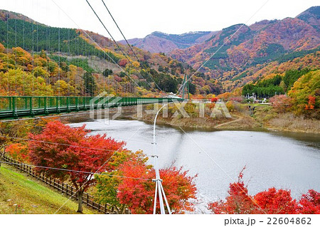 もみじ谷大吊橋 22604862