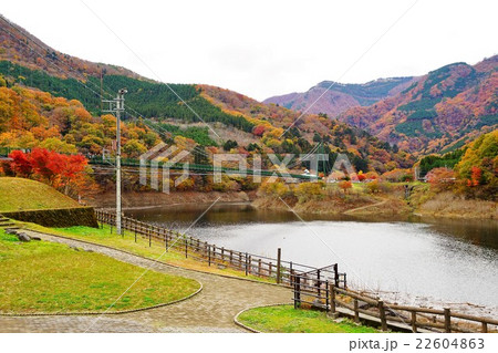 もみじ谷大吊橋 もみじ谷大吊橋 22604863