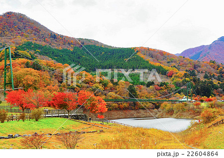 もみじ谷大吊橋 22604864