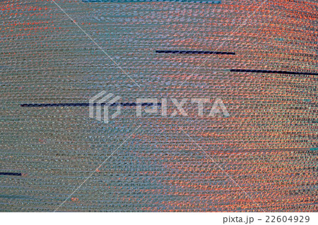 transparent glass wall as background transparent glass wall as background 22604929