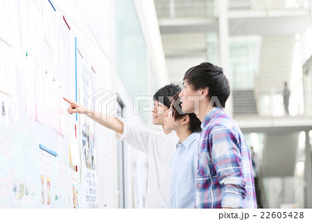 大学生　専門学生 22605428