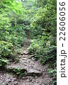 山道の階段 22606056