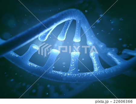 DNA and RNA molecules 22606366