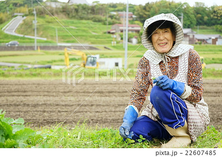 畑で農作業をする高齢者 田んぼ 農業 農家 おばあさん 野菜作り 畑で農作業をする高齢者 田んぼ 農業 農家 おばあさん 野菜作り 22607485