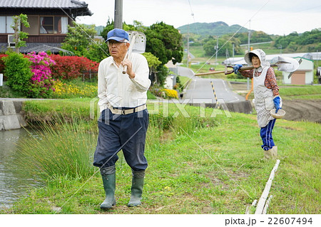 畑で農作業をする高齢者 田んぼ 農業 農家 おばあさん  野菜作り 22607494