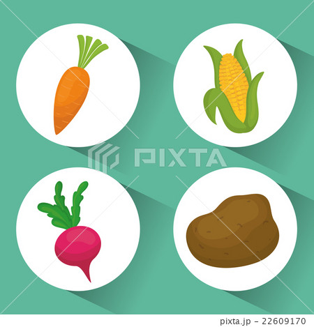 Vegetables icon designのイラスト素材 [22609170] - PIXTA