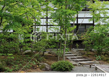 白壁の建物を背景にした日本庭園の写真素材