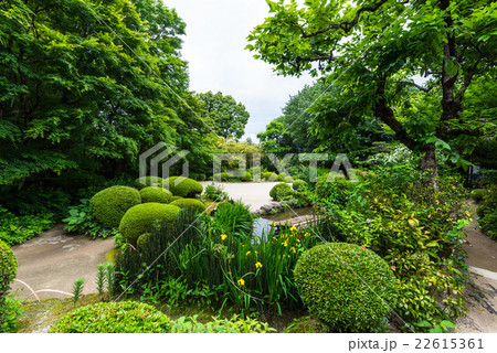 京都　新緑の詩仙堂 22615361