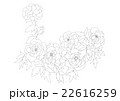 牡丹線画 22616259
