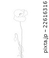 ひなげし線画 22616316