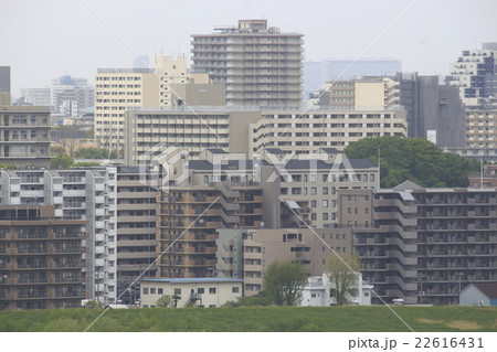 赤羽台の団地 赤羽台の団地 22616431