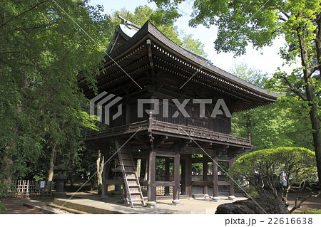 初夏の多福寺(山門) 初夏の多福寺(山門) 22616638