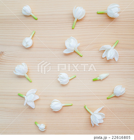 White jasmine flowers on wooden background. White jasmine flowers on wooden background. 22616805