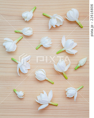White jasmine flowers on wooden background. White jasmine flowers on wooden background. 22616806