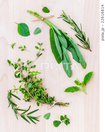 Various fresh herbs from the garden . Various fresh herbs from the garden . 22616814