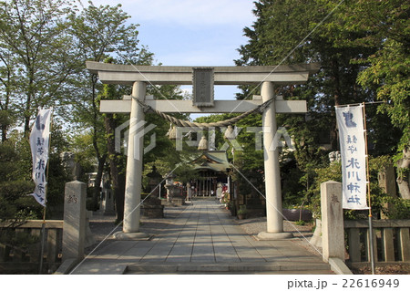 鎮守氷川神社にて(埼玉県川口市) 鎮守氷川神社にて(埼玉県川口市) 22616949