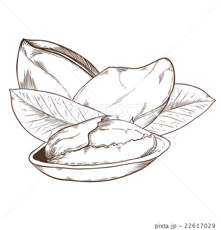 Pistachio raster isolated on white background 22617029