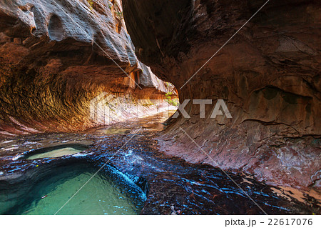 Canyon in Zion 22617076